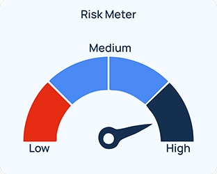 Accelerator Fund Risk Meter