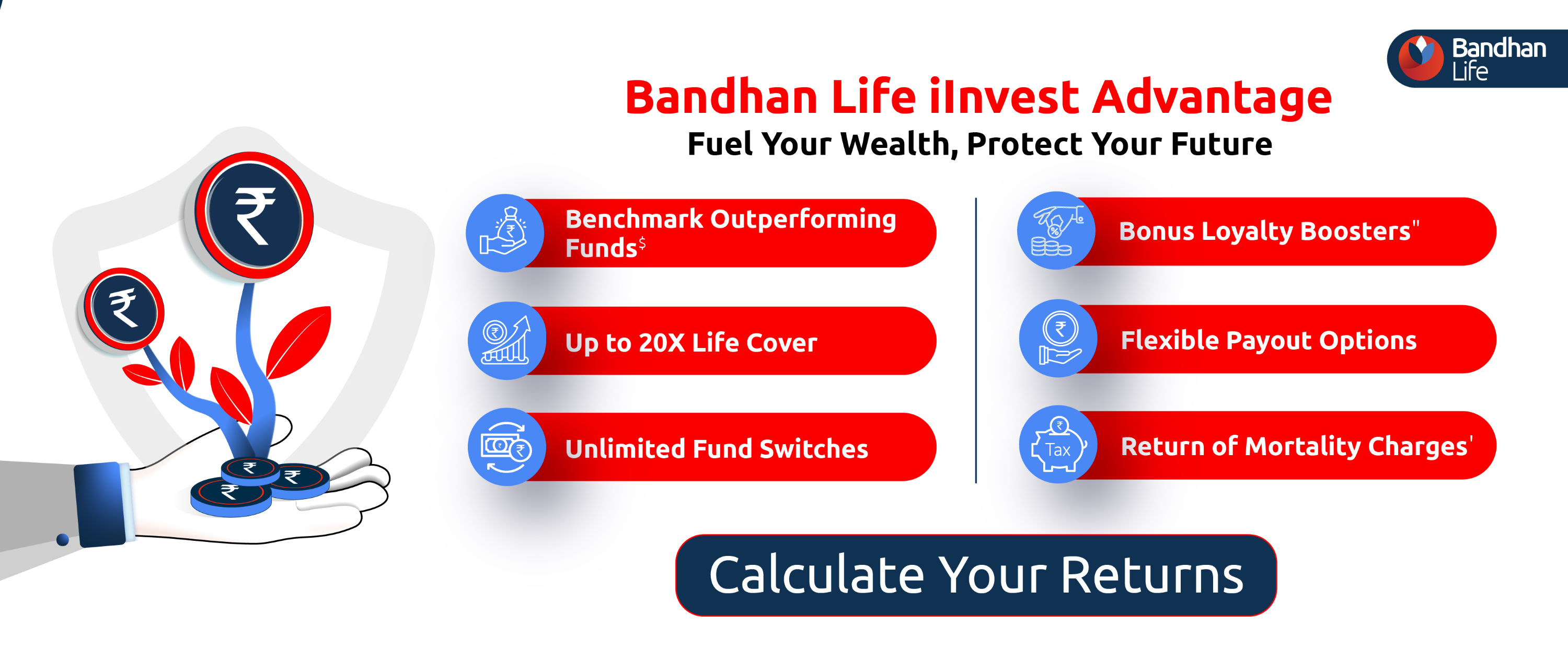 Calculate Your Returns