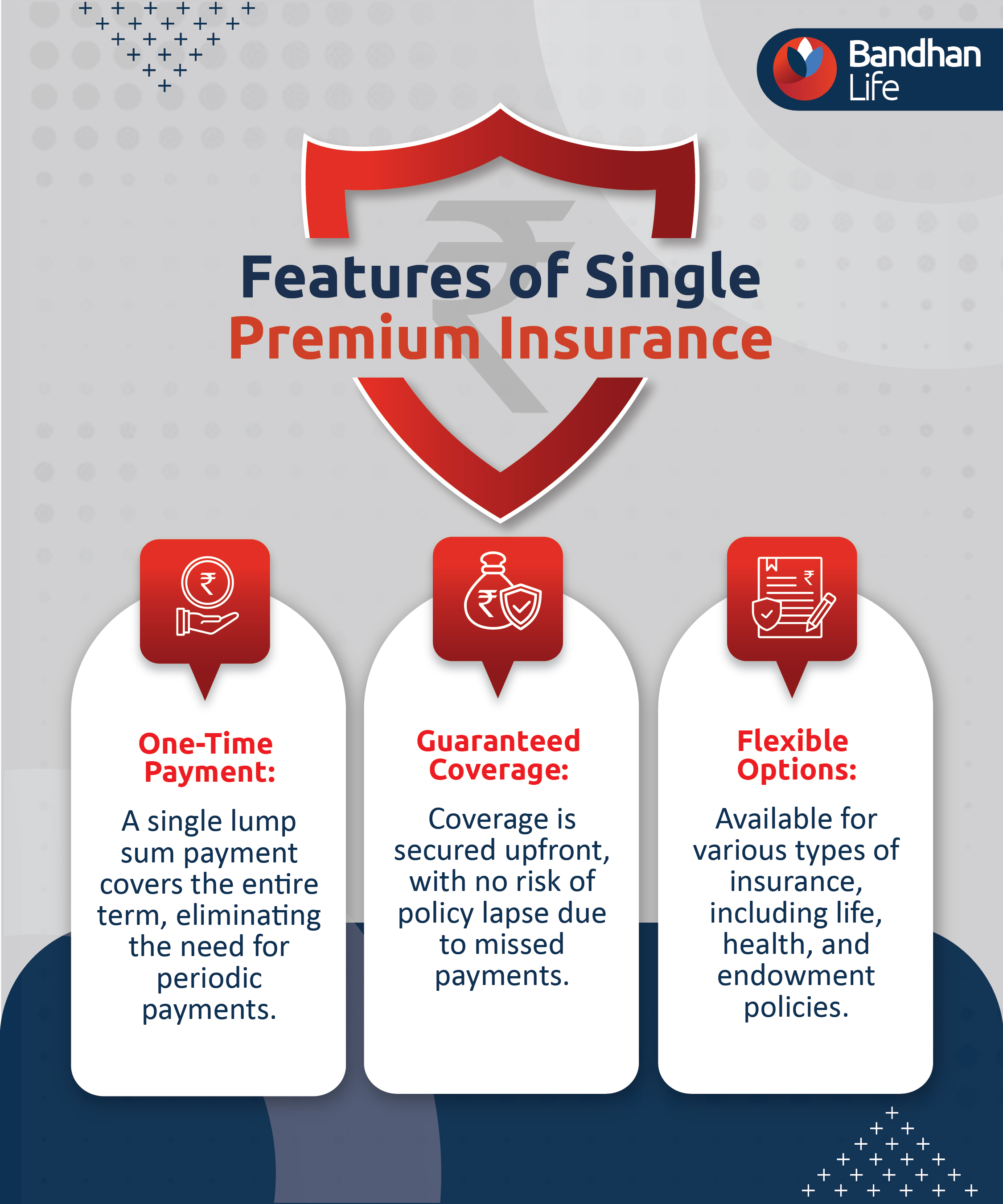 Features of Single Premium Insurance