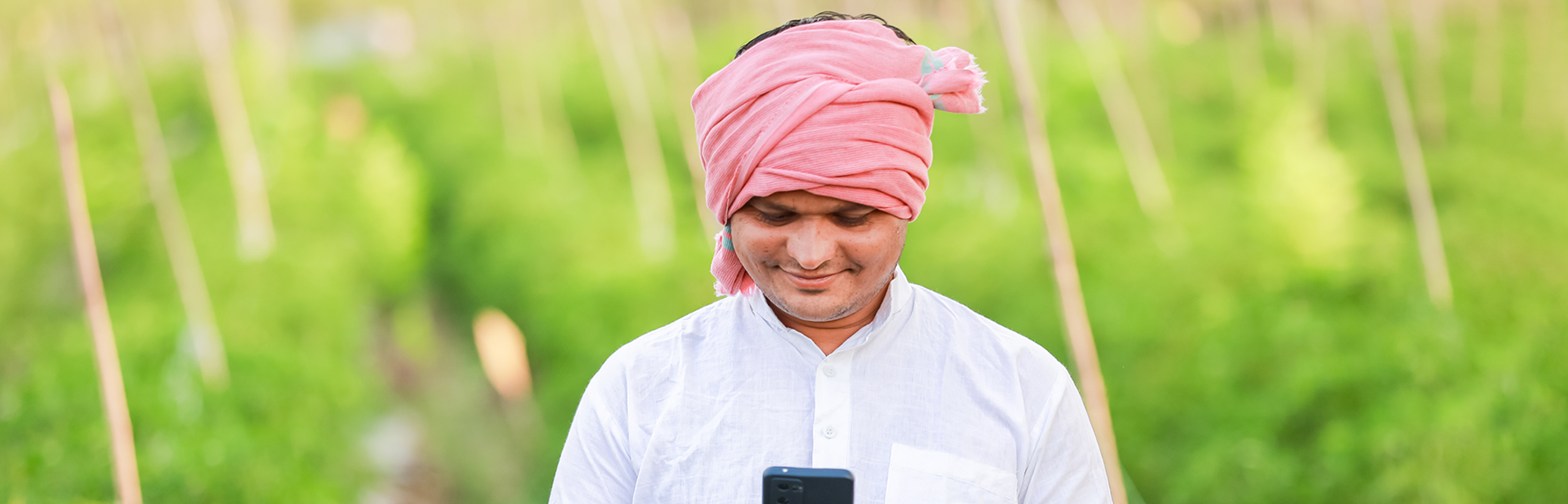 Rise of Digital Lending