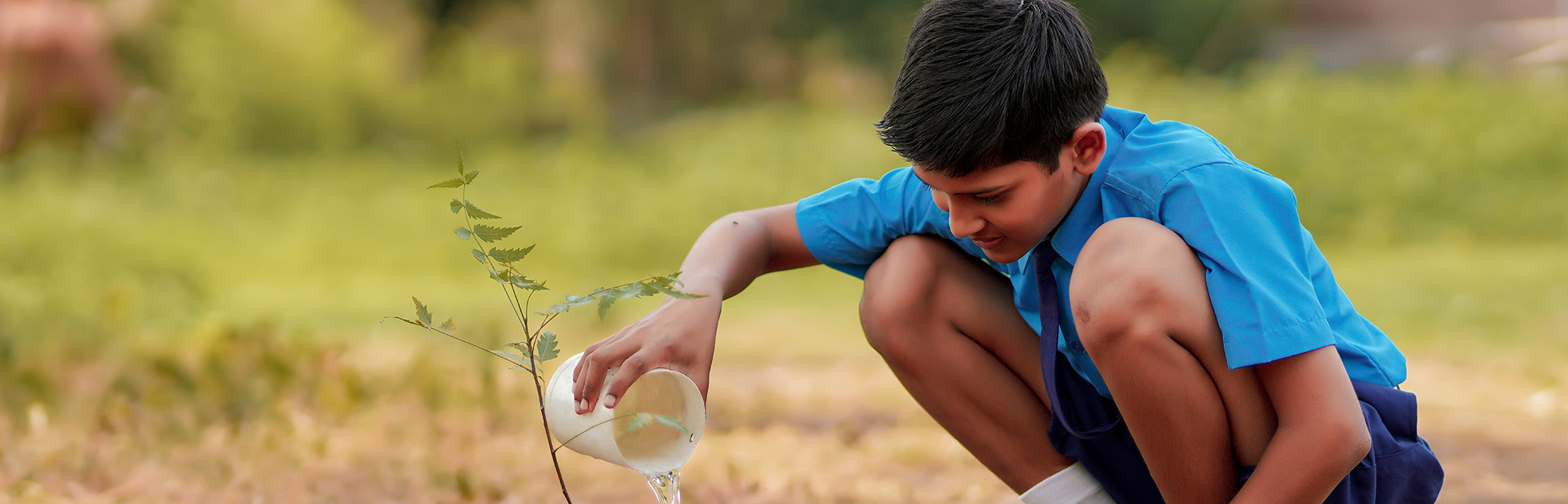 The potential of bite-sized insurance in India