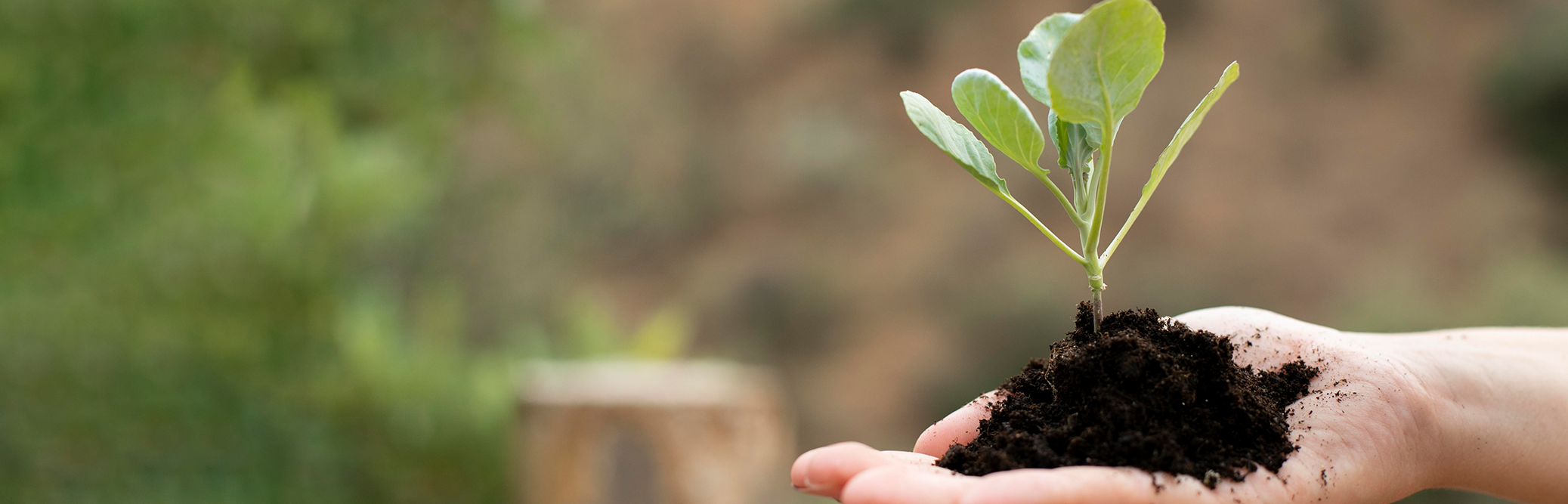 Growing with Our New Identity