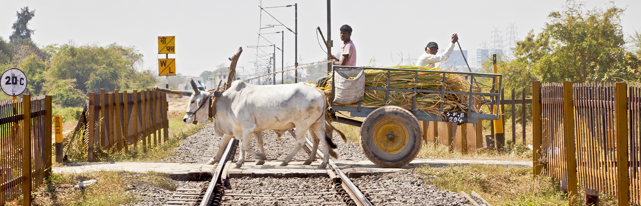 Highlighting India's 91% life insurance gap