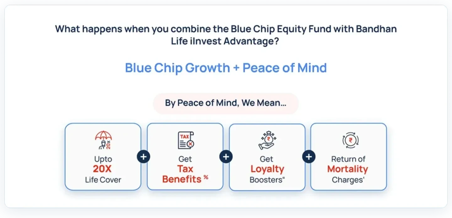Blue Chip Equity Fund