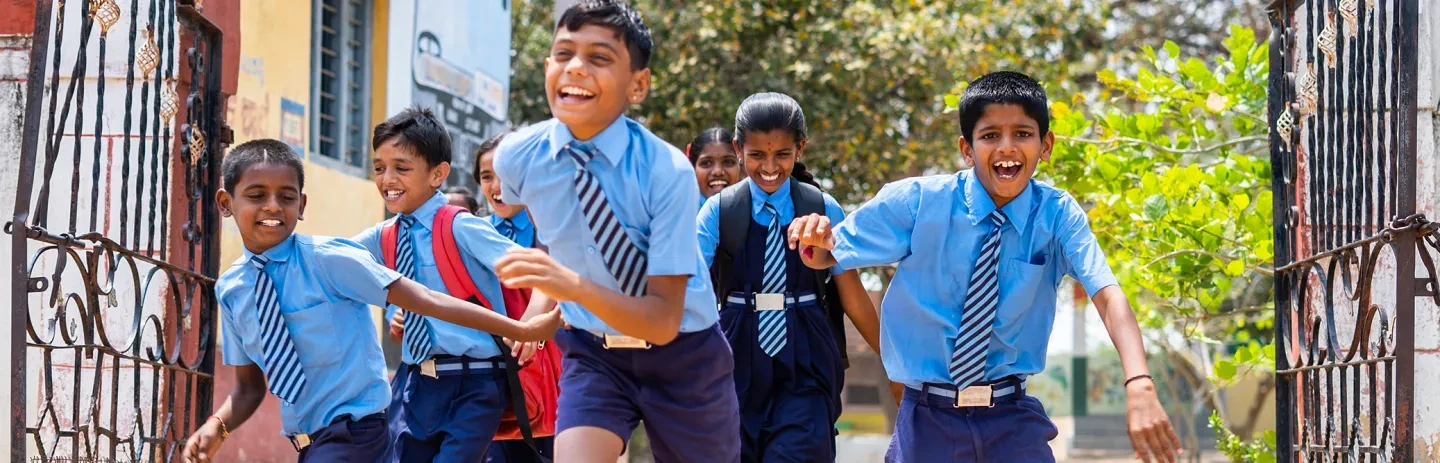 Summer Reflections banner image