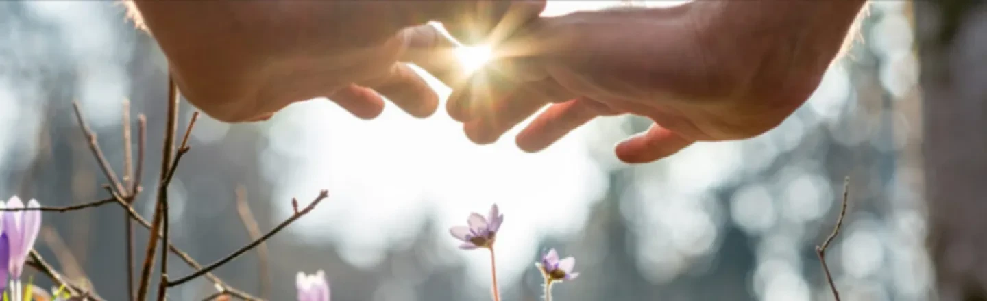 How ULIPs Help You Achieve Financial Freedom with Security